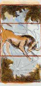 TORO